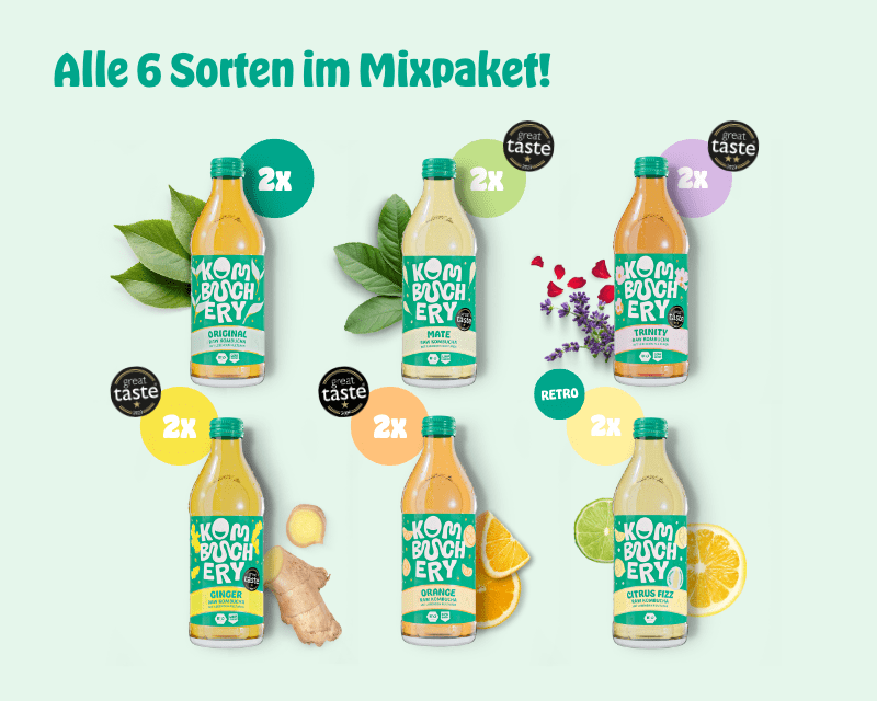 Kombucha Mixpaket 24 x 330ml